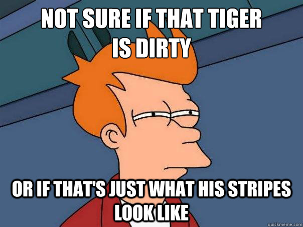 Not sure if that tiger
is dirty Or if that's just what his stripes look like  Futurama Fry