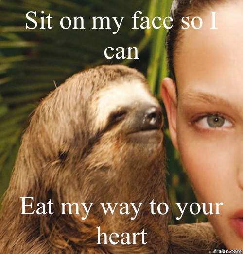 Sit on my face so I can Eat my way to your heart  rape sloth