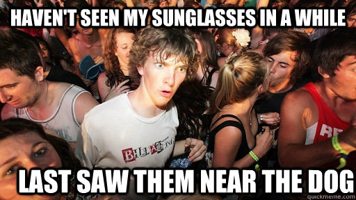 Haven't seen my Sunglasses in a while last saw them near the dog  Sudden Clarity Clarence