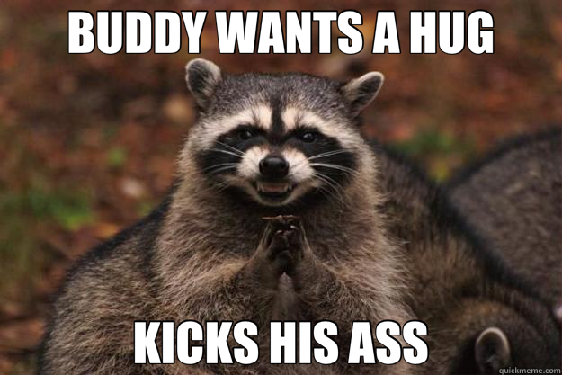 BUDDY WANTS A HUG KICKS HIS ASS - BUDDY WANTS A HUG KICKS HIS ASS  Evil Plotting Raccoon