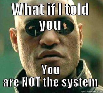 WHAT IF I TOLD YOU YOU ARE NOT THE SYSTEM Matrix Morpheus