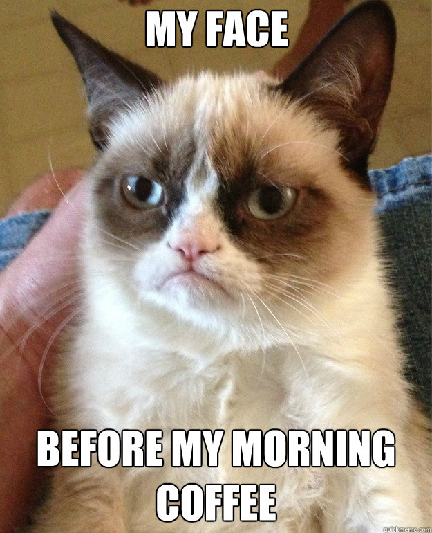 My face Before my morning coffee  Grumpy Cat