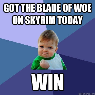 GOT THE BLADE OF WOE ON SKYRIM TODAY WIN  Success Kid