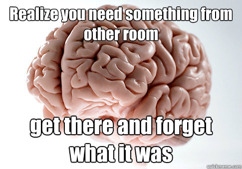 Realize you need something from other room get there and forget what it was  Scumbag Brain