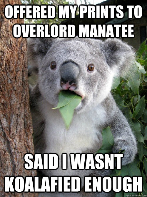 Offered my prints to overlord manatee Said I wasnt koalafied enough  koala bear