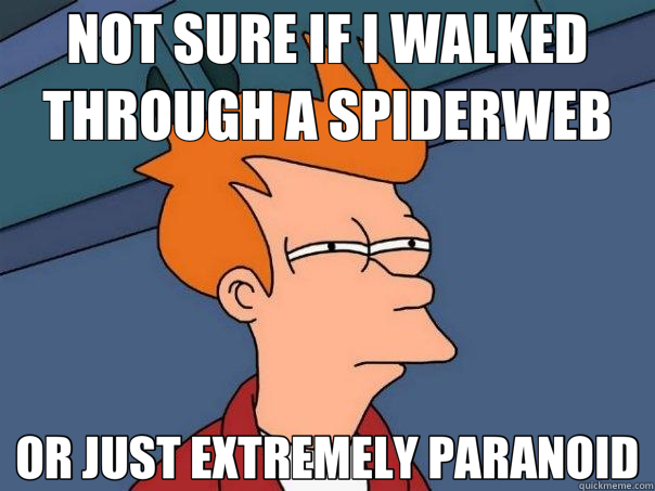 NOT SURE IF I WALKED THROUGH A SPIDERWEB OR JUST EXTREMELY PARANOID - NOT SURE IF I WALKED THROUGH A SPIDERWEB OR JUST EXTREMELY PARANOID  Futurama Fry