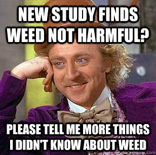 new study finds weed not harmful? please tell me more things i didn't know about weed  Condescending Wonka