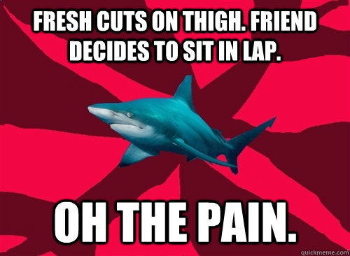 Fresh cuts on thigh. Friend decides to sit in lap. Oh the pain.  Self-Injury Shark