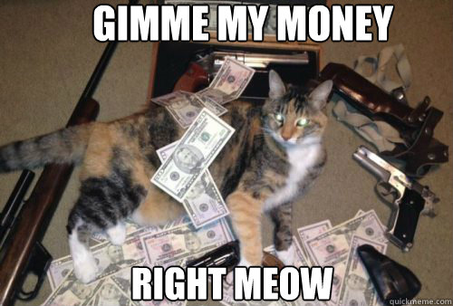 Gimme my money right meow - Gimme my money right meow  Gangsta Kitty