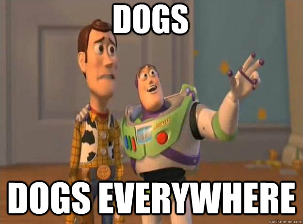 Dogs Dogs everywhere - Dogs Dogs everywhere  Misc