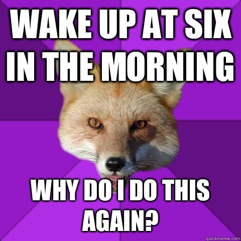 Wake up at six in the morning Why do I do this again?  Forensics Fox