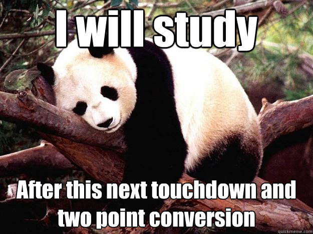 I will study After this next touchdown and two point conversion  Procrastination Panda