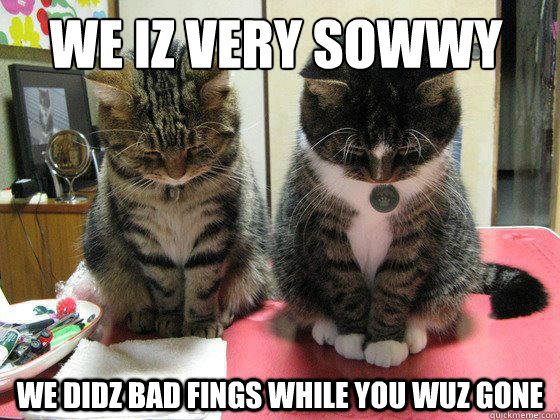 We iz very sowwy we didz bad fings while you wuz gone  