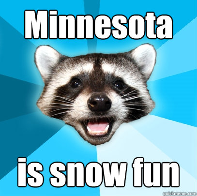 Minnesota is snow fun  Lame Pun Coon