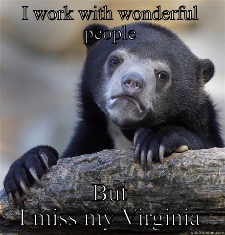 I WORK WITH WONDERFUL PEOPLE BUT I MISS MY VIRGINIA Confession Bear