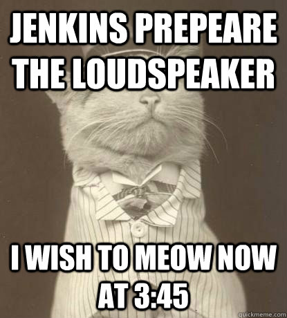 Jenkins prepeare the loudspeaker I wish to meow now at 3:45  Aristocat