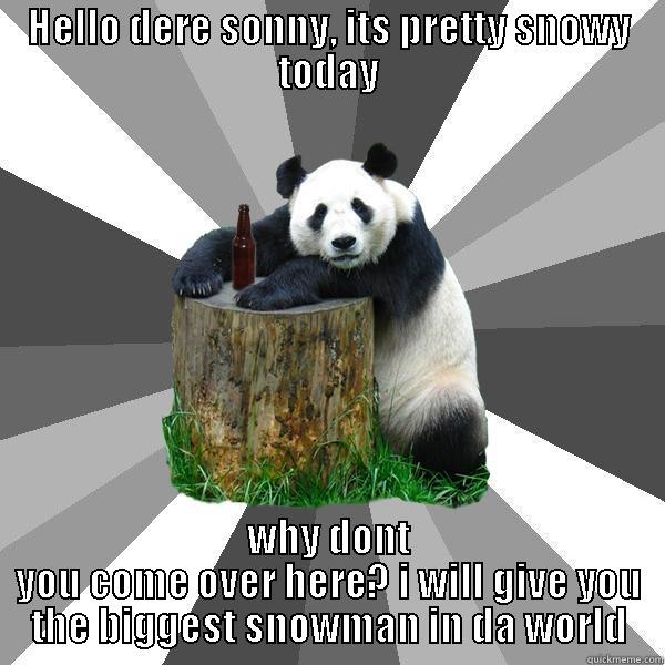 HELLO DERE SONNY, ITS PRETTY SNOWY TODAY WHY DONT YOU COME OVER HERE? I WILL GIVE YOU THE BIGGEST SNOWMAN IN DA WORLD Pickup-Line Panda