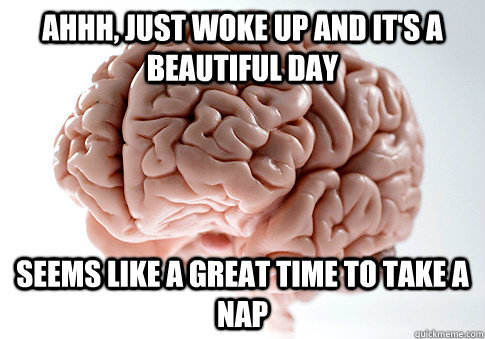 Ahhh, just woke up and it's a beautiful day Seems like a great time to take a nap  Scumbag Brain