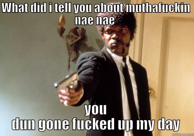 WHAT DID I TELL YOU ABOUT MUTHAFUCKIN NAE NAE  YOU DUN GONE FUCKED UP MY DAY Samuel L Jackson