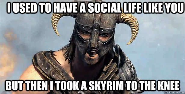 I used to have a social life like you but then i took a skyrim to the knee  Took an Arrow to the Knee