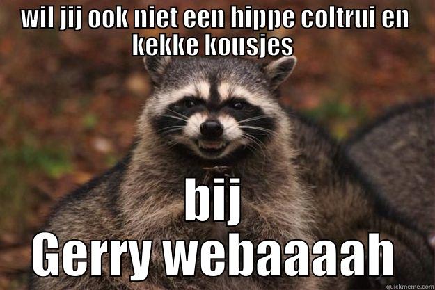 WIL JIJ OOK NIET EEN HIPPE COLTRUI EN KEKKE KOUSJES  BIJ GERRY WEBAAAAH Evil Plotting Raccoon