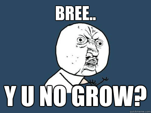 Bree.. y u no grow? - Bree.. y u no grow?  Y U No