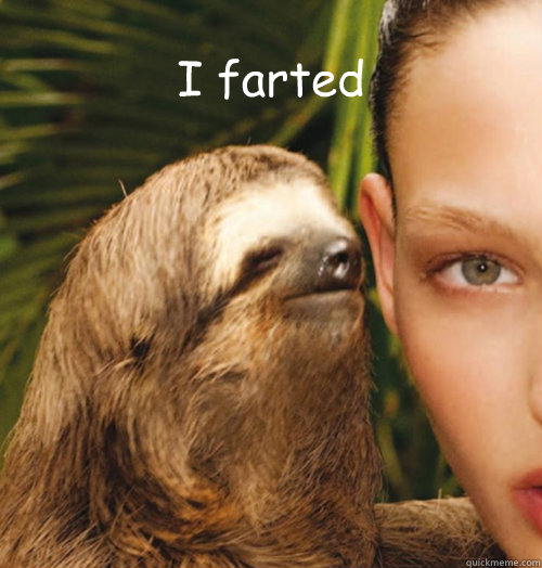 I farted  - I farted   Whispering Sloth