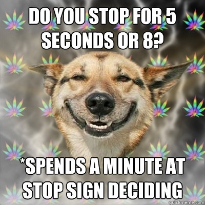 do you stop for 5 seconds or 8? *spends a minute at stop sign deciding  Stoner Dog