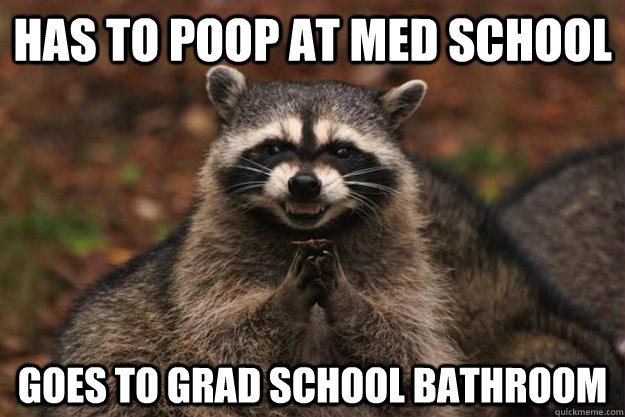 Has to poop at med school goes to grad school bathroom   Evil Plotting Raccoon