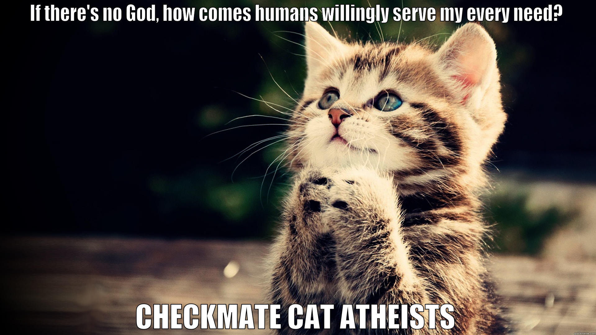 Cat Theist Win - IF THERE'S NO GOD, HOW COMES HUMANS WILLINGLY SERVE MY EVERY NEED? CHECKMATE CAT ATHEISTS Misc