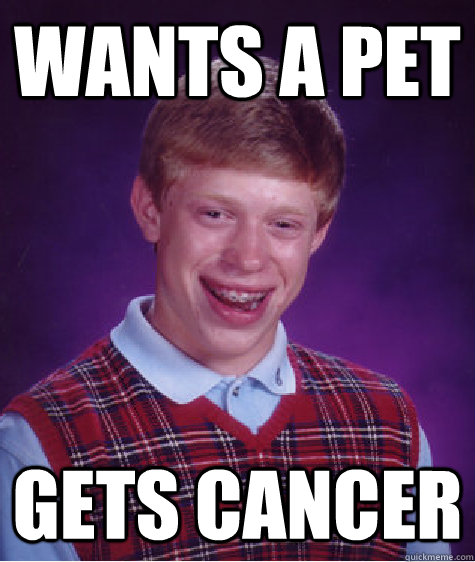 Wants a pet gets CANCER  Bad Luck Brian