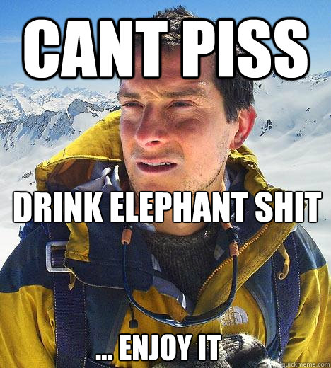 cant piss drink elephant shit ... enjoy it - cant piss drink elephant shit ... enjoy it  Bear Grylls