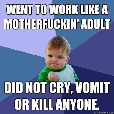 went to work like a motherfuckin' adult did not cry, vomit or kill anyone.  Success Kid