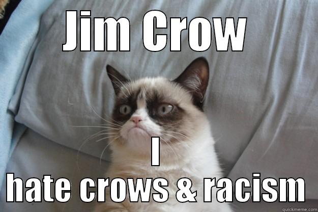 American Politics - JIM CROW I HATE CROWS & RACISM Grumpy Cat