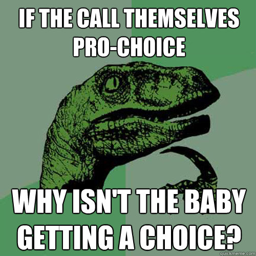 If the call themselves Pro-Choice Why isn't the baby getting a choice?  Philosoraptor