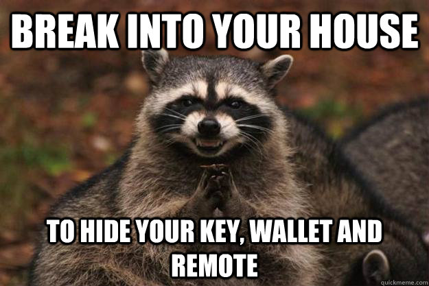 break into your house to hide your key, wallet and remote - break into your house to hide your key, wallet and remote  Evil Plotting Raccoon