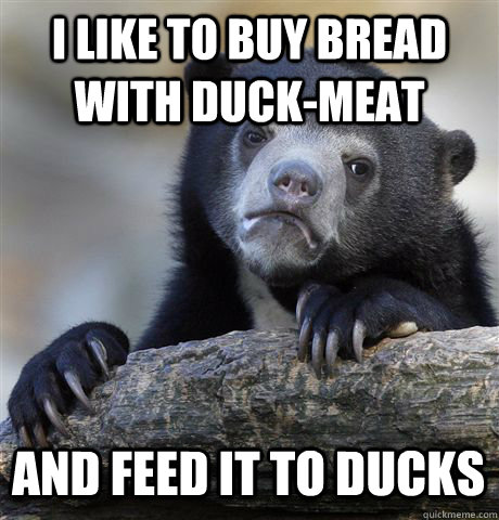 I like to buy bread with duck-meat And feed it to ducks - I like to buy bread with duck-meat And feed it to ducks  Confession Bear