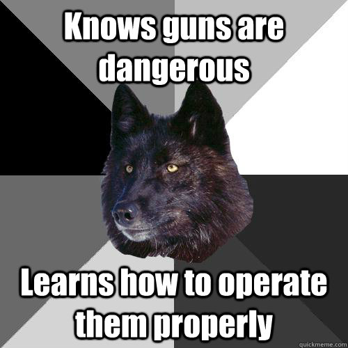 Knows guns are dangerous Learns how to operate them properly  Sanity Wolf