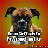  Damn Girl Thats Yo Pussy smelling Like That -  Damn Girl Thats Yo Pussy smelling Like That  clever bad boxer dog