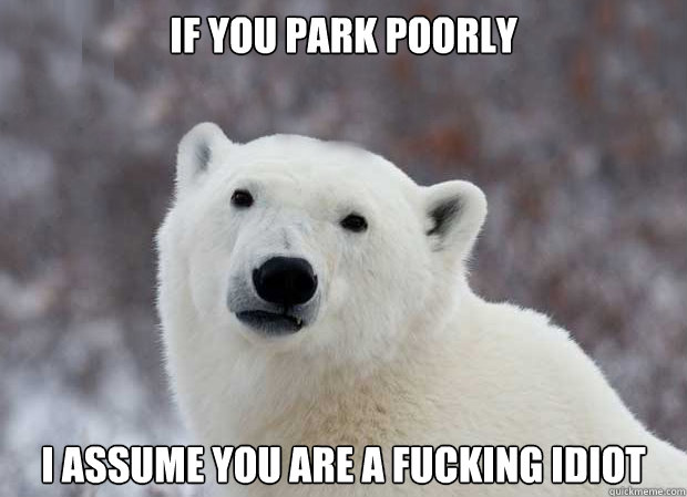 If you park poorly I assume you are a fucking idiot  Popular Opinion Polar Bear