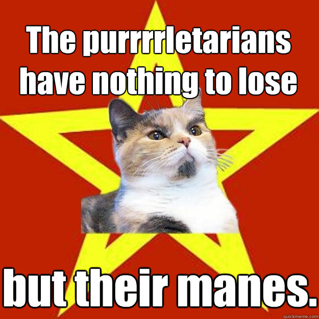 The purrrrletarians have nothing to lose but their manes.  Lenin Cat