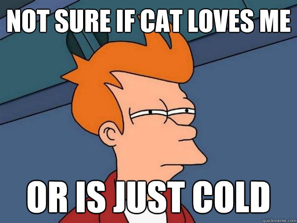 Not sure if cat loves me Or is just cold  Futurama Fry