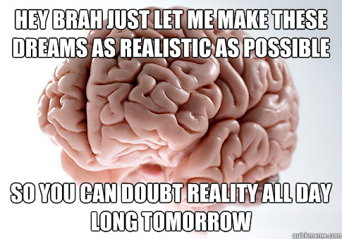 Hey brah just let me make these dreams as realistic as possible So you can doubt reality all day long tomorrow  Scumbag Brain