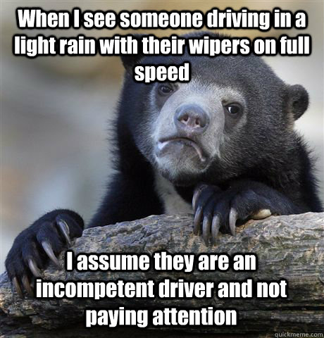 When I see someone driving in a light rain with their wipers on full speed I assume they are an incompetent driver and not paying attention  Confession Bear