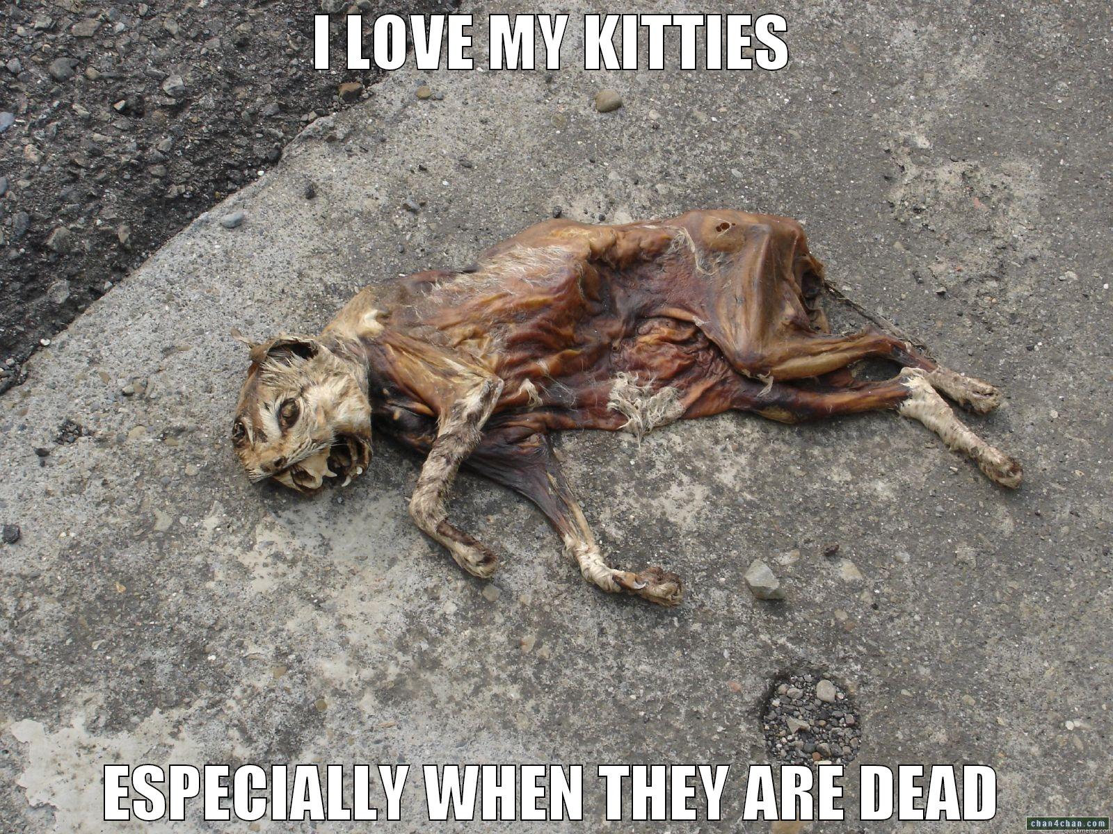 I LOVE MY KITTIES ESPECIALLY WHEN THEY ARE DEAD Misc