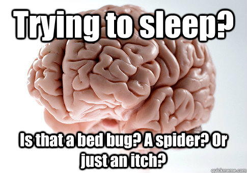 Trying to sleep? Is that a bed bug? A spider? Or just an itch?   Scumbag Brain