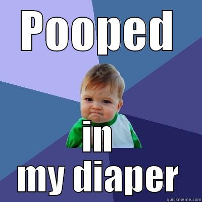 POOPED IN MY DIAPER Success Kid