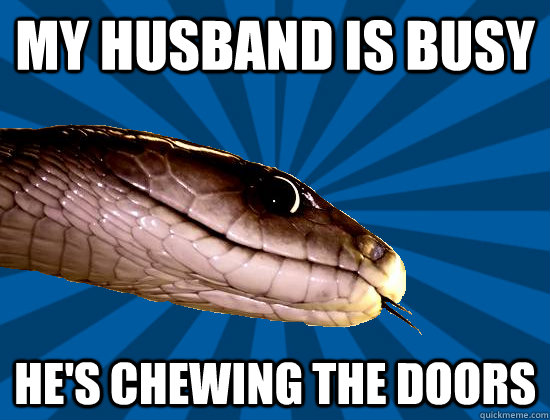 My husband is busy He's chewing the doors  Spoonerism Snake