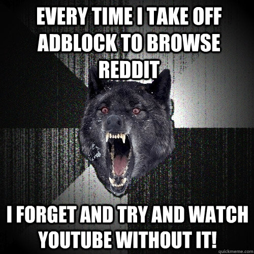 every time i take off adblock to browse reddit i forget and try and watch youtube without it!  Insanity Wolf