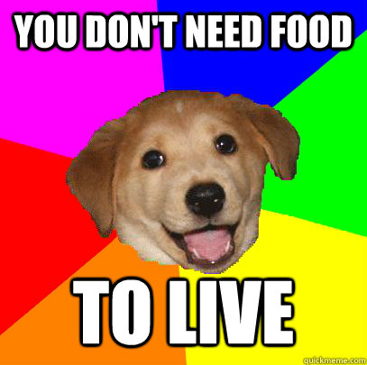 You don't need food to live - You don't need food to live  Advice Dog